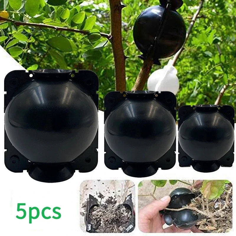 Bola De Enraizamento De Plantas Reutilizáveis, Jardim Caixa De Enxerto, Propagação De Rebento, Caso De Criação, Transplante Do Viveiro, 5Pcs