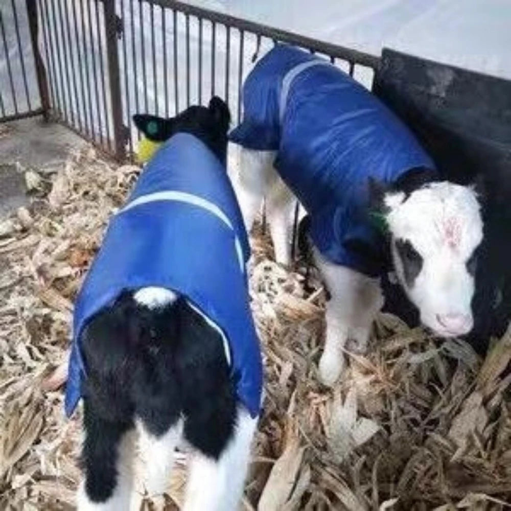 Casaco de Inverno para Gado - Proteção AgroTech